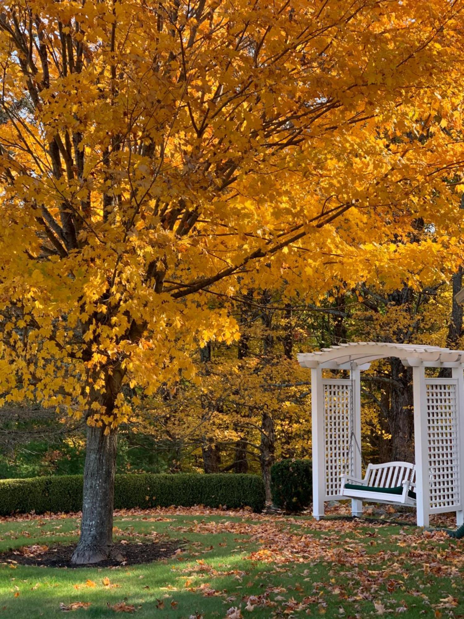 Maguire House Bed And Breakfast Ashburnham エクステリア 写真