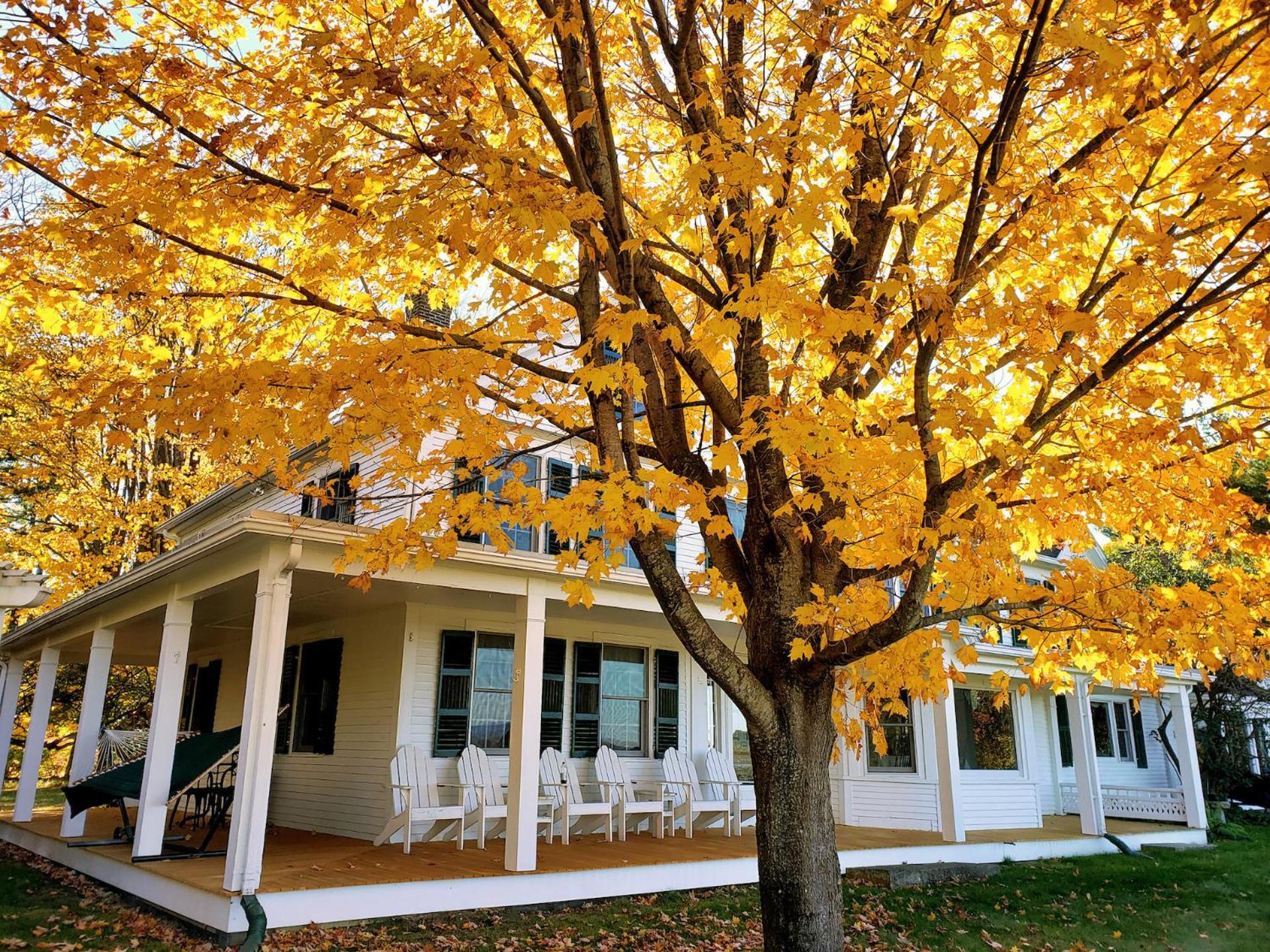 Maguire House Bed And Breakfast Ashburnham エクステリア 写真
